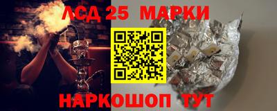 крисы Кулебаки