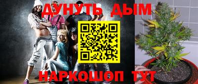 крисы Кулебаки