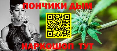 крисы Кулебаки