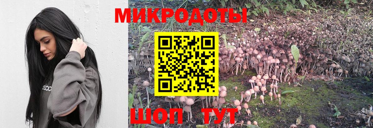 Галлюциногенные грибы Psilocybine cubensis Ишимбай